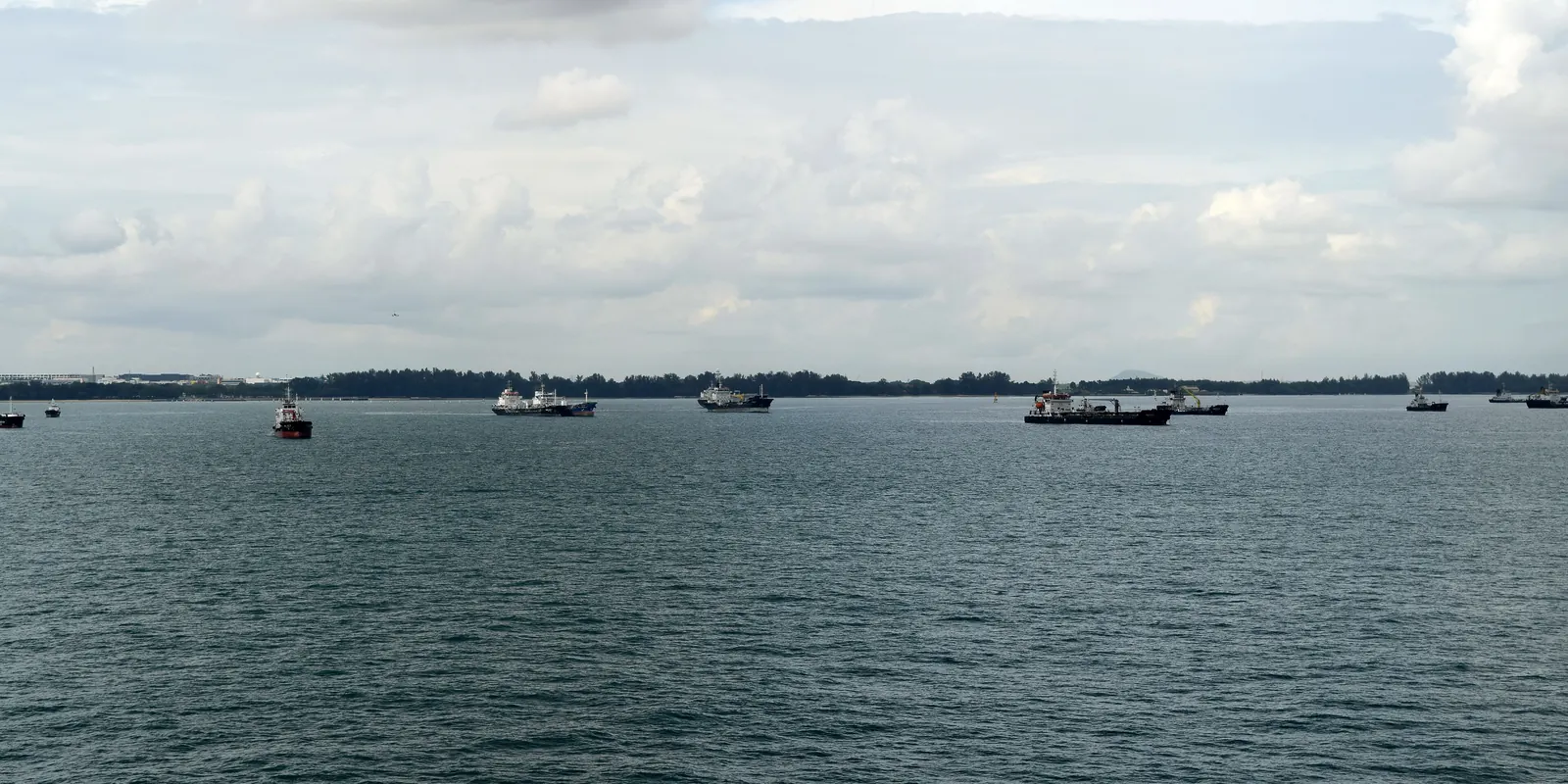 Tankers and cargo ships at anchor on a gray sea under heavy clouds, with a low wooded shore on the horizon